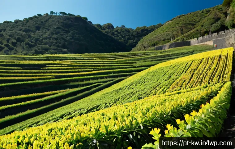 개념 맵의 연구 동향과 미래 전망 관련 이미지 2